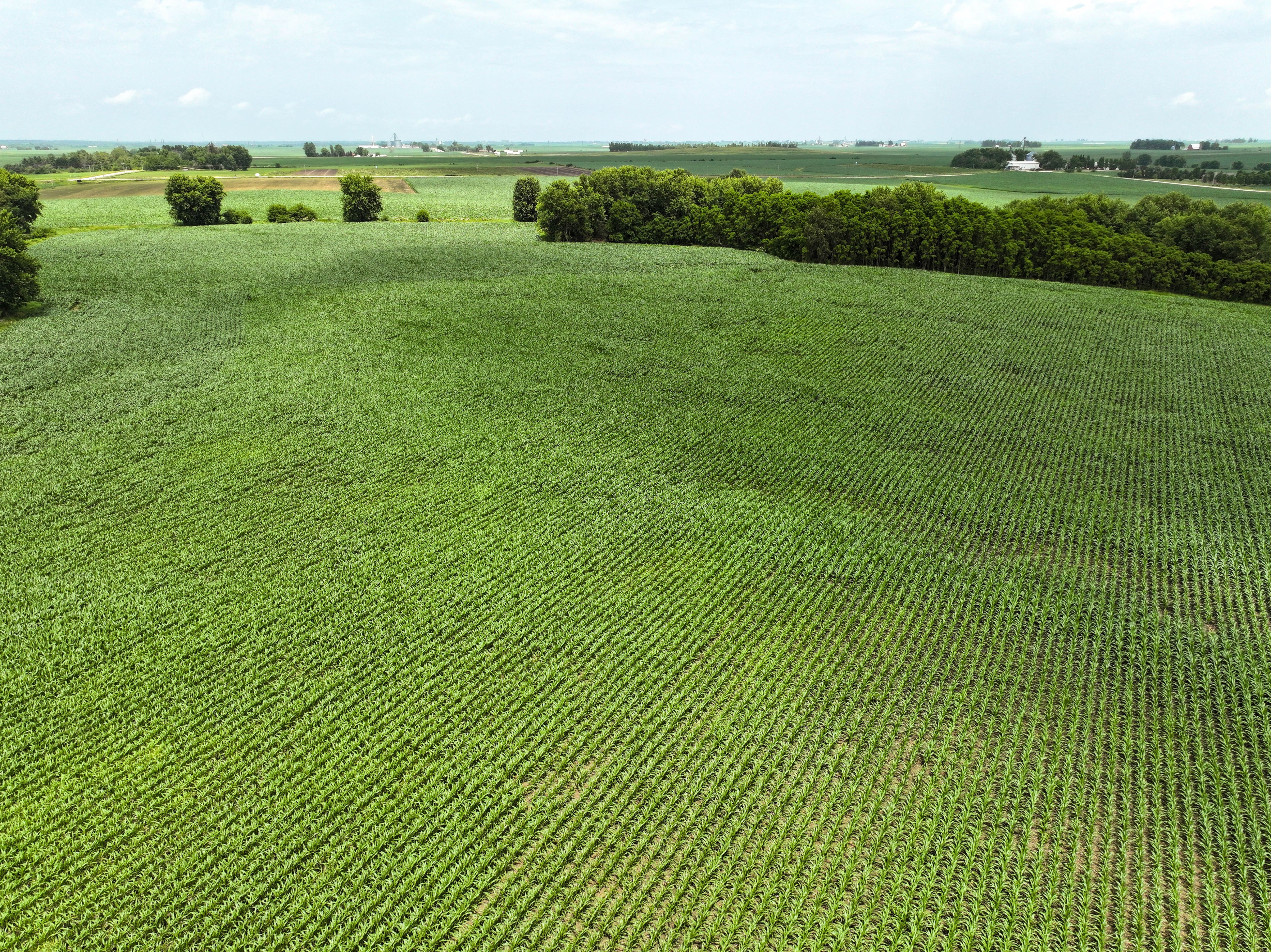 Listing Photo: 18 - Independence Iowa Land Auction